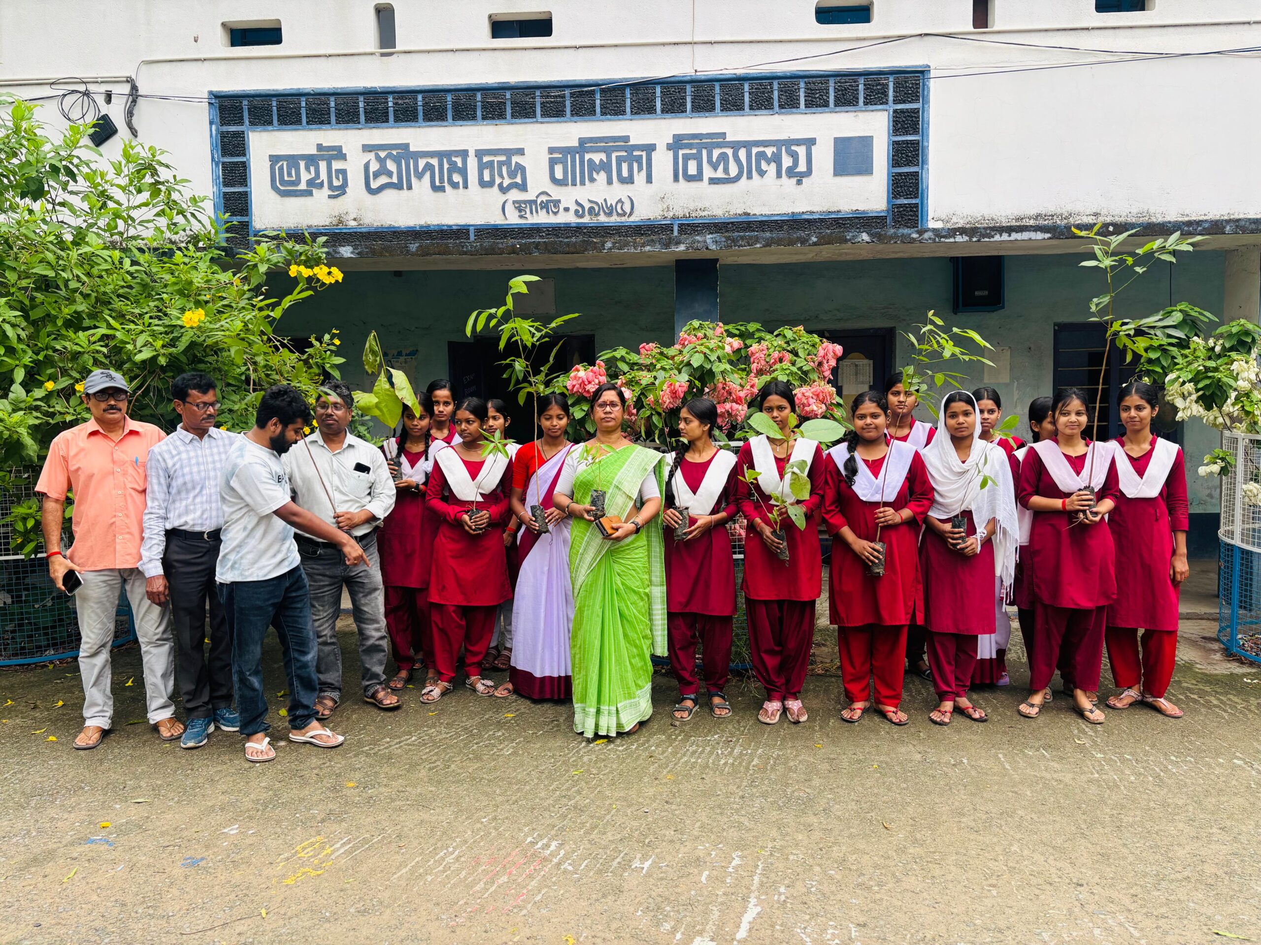 Plantation drive